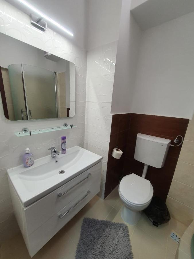Hotel Petroshani srl Petroşani Exteriör bild